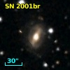 SN 2001br