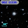 UGC 11338
