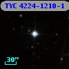TYC 4224-1210-1