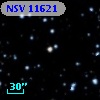 NSV 11621