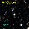 V* QV Lyr