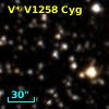 V* V1258 Cyg