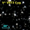 V* V873 Cyg
