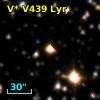 V* V439 Lyr