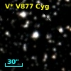 V* V877 Cyg