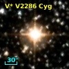 V* V2286 Cyg