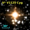 V* V1125 Cyg