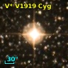 V* V1919 Cyg