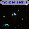 TYC 4216-1166-1