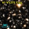 V* V1271 Cyg