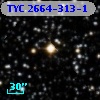 TYC 2664-313-1