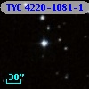 TYC 4220-1081-1