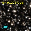 V* V1273 Cyg