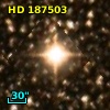 HD 187503