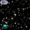 V* V979 Cyg