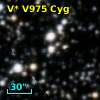 V* V975 Cyg