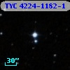 TYC 4224-1182-1