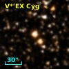 V* EX Cyg