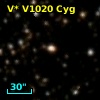 V* V1020 Cyg
