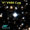 V* V466 Cyg