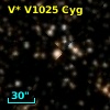 V* V1025 Cyg