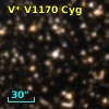 V* V1170 Cyg