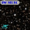 EM* VES   91