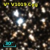 V* V1019 Cyg