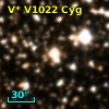 V* V1022 Cyg