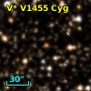 V* V1455 Cyg