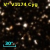 V* V1174 Cyg