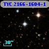 TYC 2166-1604-1