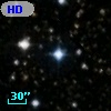 HD 333950