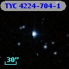 TYC 4224-704-1