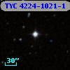TYC 4224-1021-1