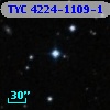 TYC 4224-1109-1