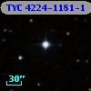 TYC 4224-1181-1