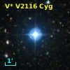 V* V2116 Cyg