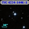 TYC 4224-1446-1