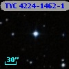 TYC 4224-1462-1