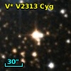 V* V2313 Cyg