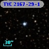 TYC 2167-29-1