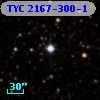 TYC 2167-300-1