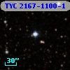 TYC 2167-1100-1