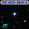 TYC 4225-1029-1