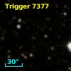 Trigger  7377