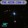 TYC 4228-216-1