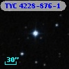 TYC 4228-876-1