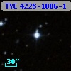 TYC 4228-1006-1
