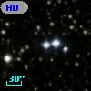 HD 334557